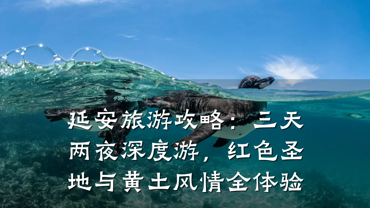 延安旅游攻略:三天两夜深度游,红色圣地与黄土风情全体验