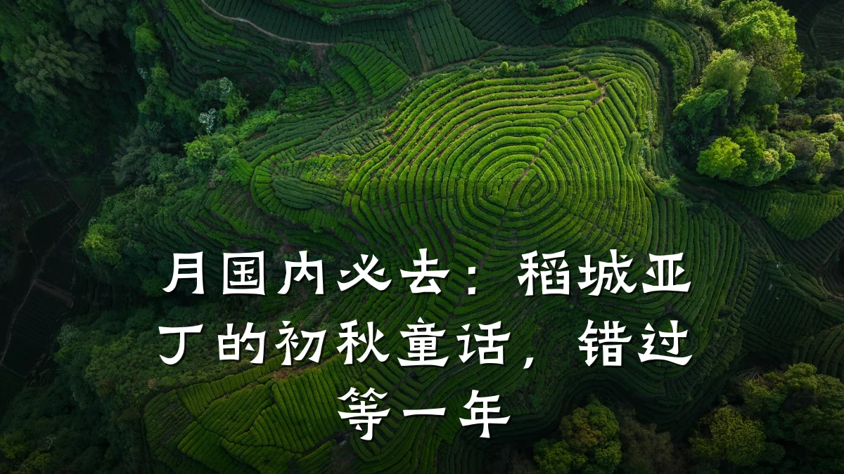月国内必去:稻城亚丁的初秋童话,错过等一年