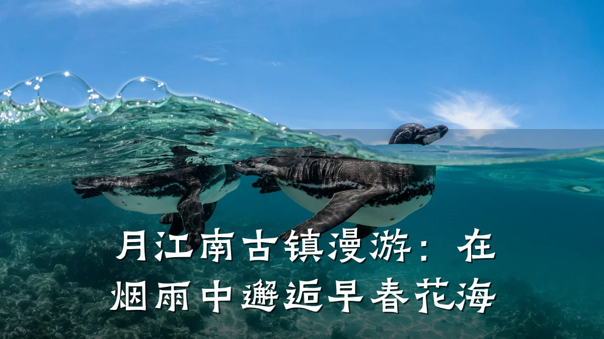 月江南古镇漫游:在烟雨中邂逅早春花海