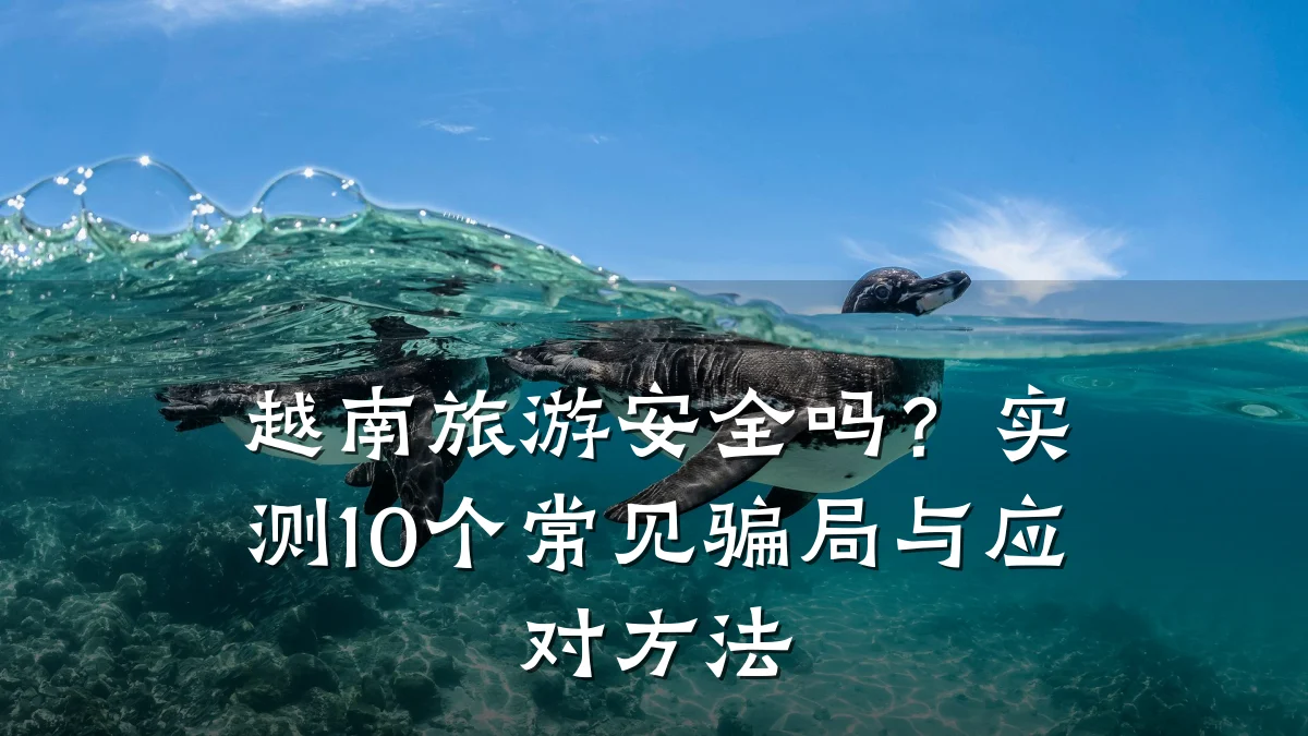 越南旅游安全吗？实测10个常见骗局与应对方法