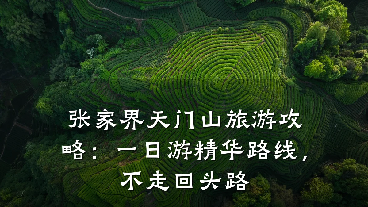 张家界天门山旅游攻略:一日游精华路线,不走回头路
