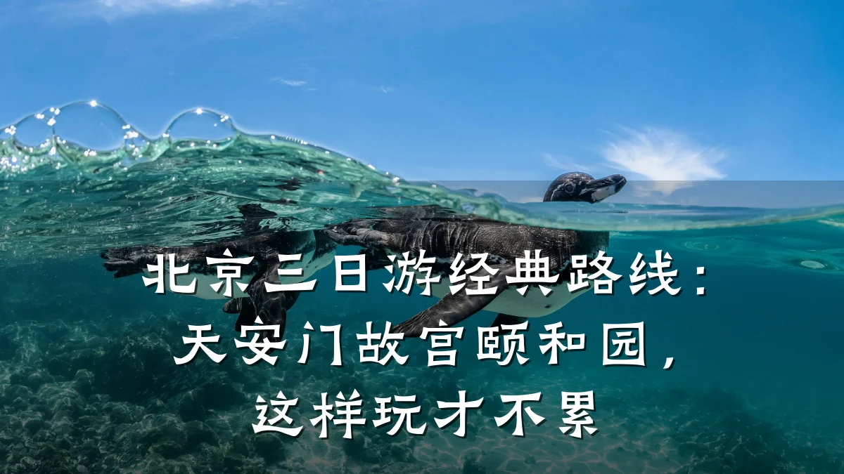 北京三日游经典路线:天安门故宫颐和园,这样玩才不累