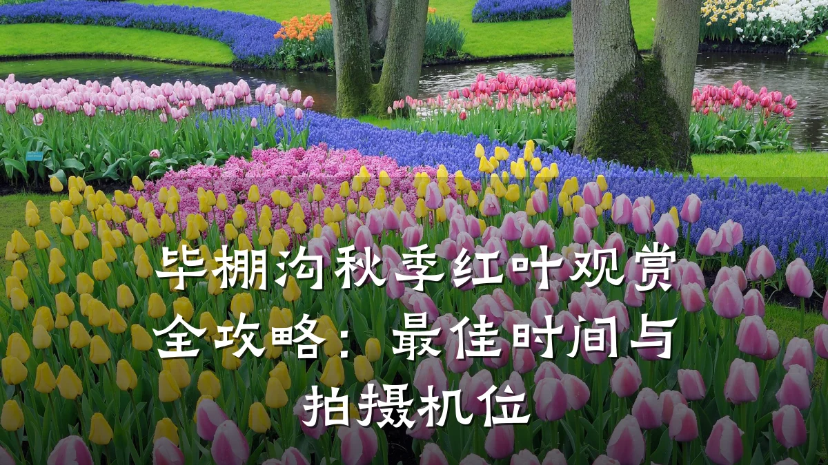 毕棚沟秋季红叶观赏全攻略：最佳时间与拍摄机位