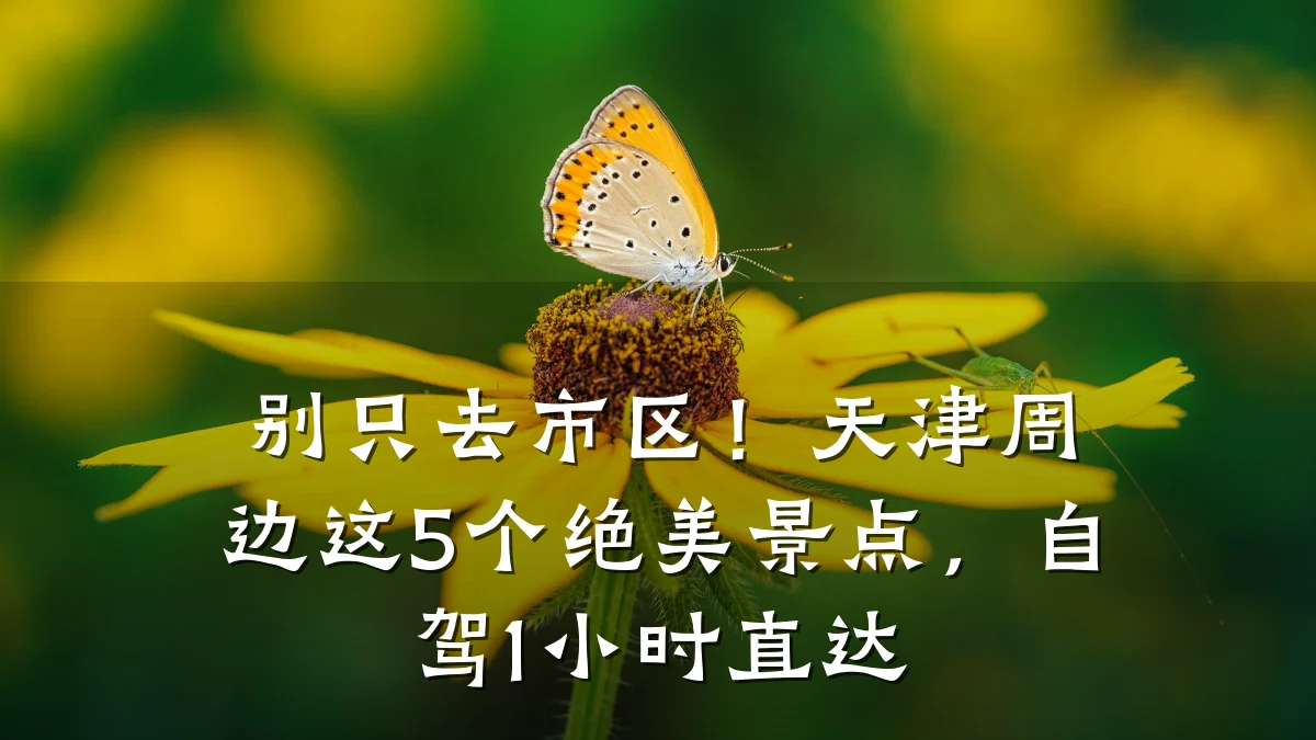别只去市区!天津周边这5个绝美景点,自驾1小时直达