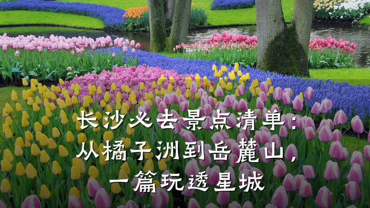 长沙必去景点清单:从橘子洲到岳麓山,一篇玩透星城