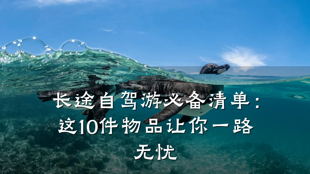 长途自驾游必备清单:这10件物品让你一路无忧