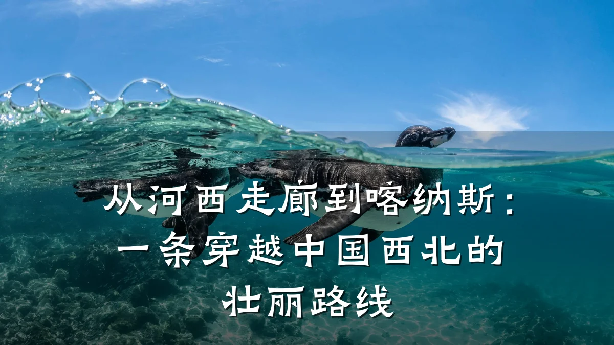 从河西走廊到喀纳斯:一条穿越中国西北的壮丽路线