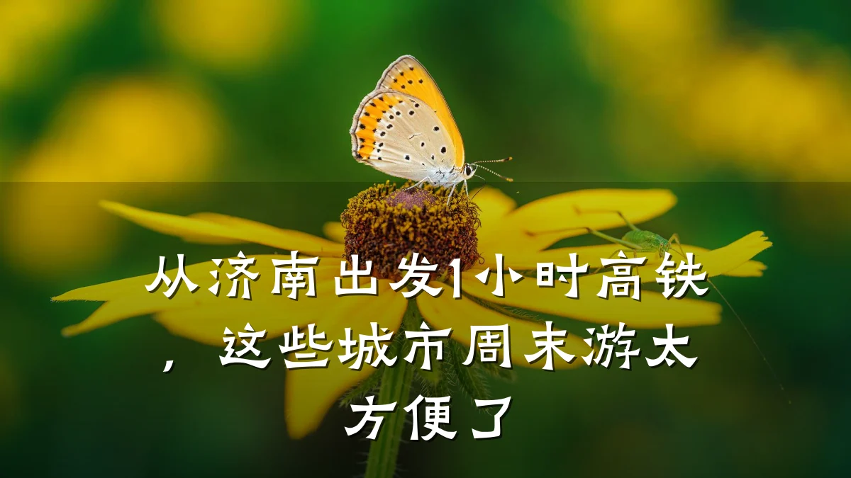 从济南出发1小时高铁,这些城市周末游太方便了