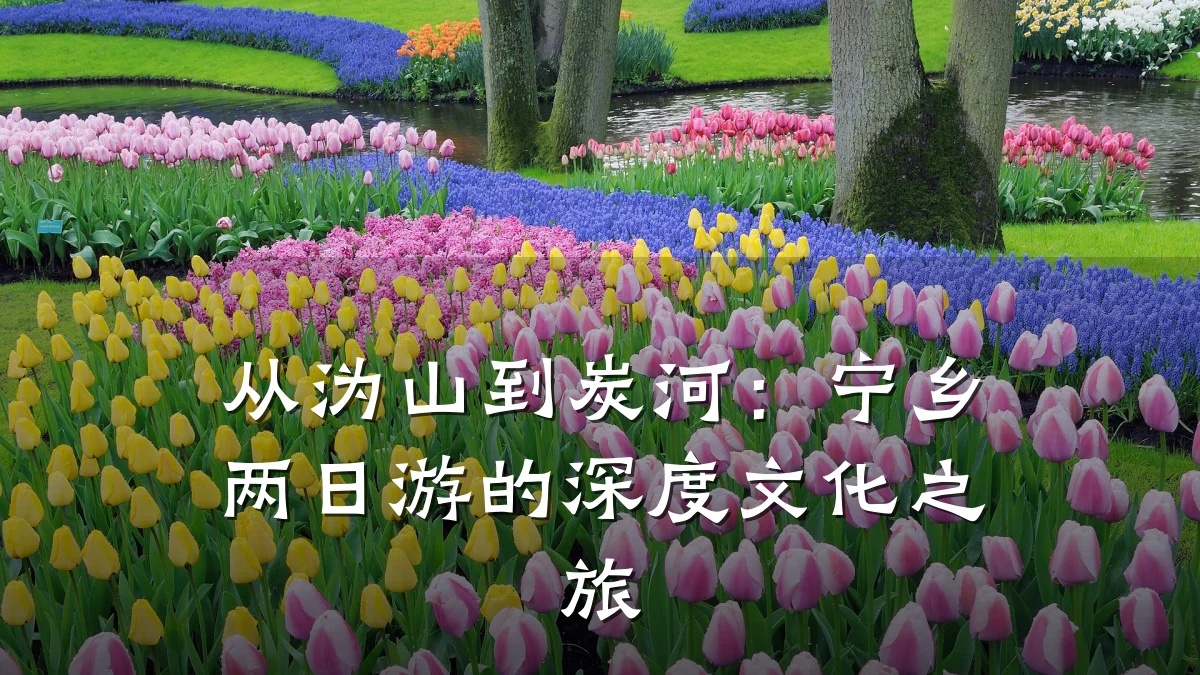 从沩山到炭河:宁乡两日游的深度文化之旅