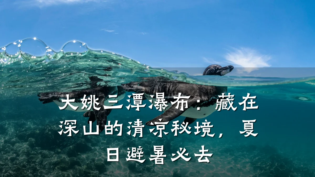 大姚三潭瀑布:藏在深山的清凉秘境,夏日避暑必去