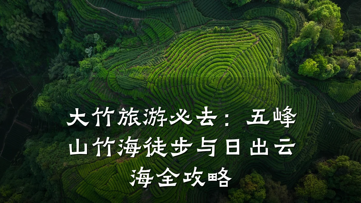 大竹旅游必去:五峰山竹海徒步与日出云海全攻略