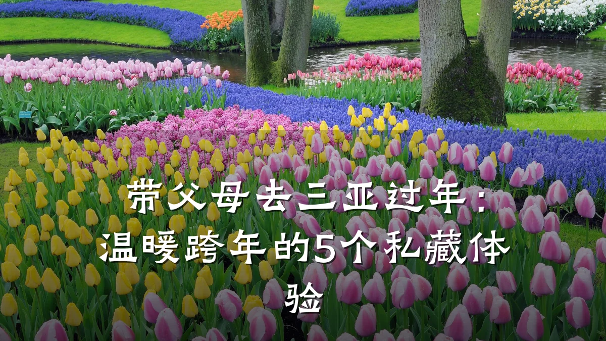 带父母去三亚过年:温暖跨年的5个私藏体验