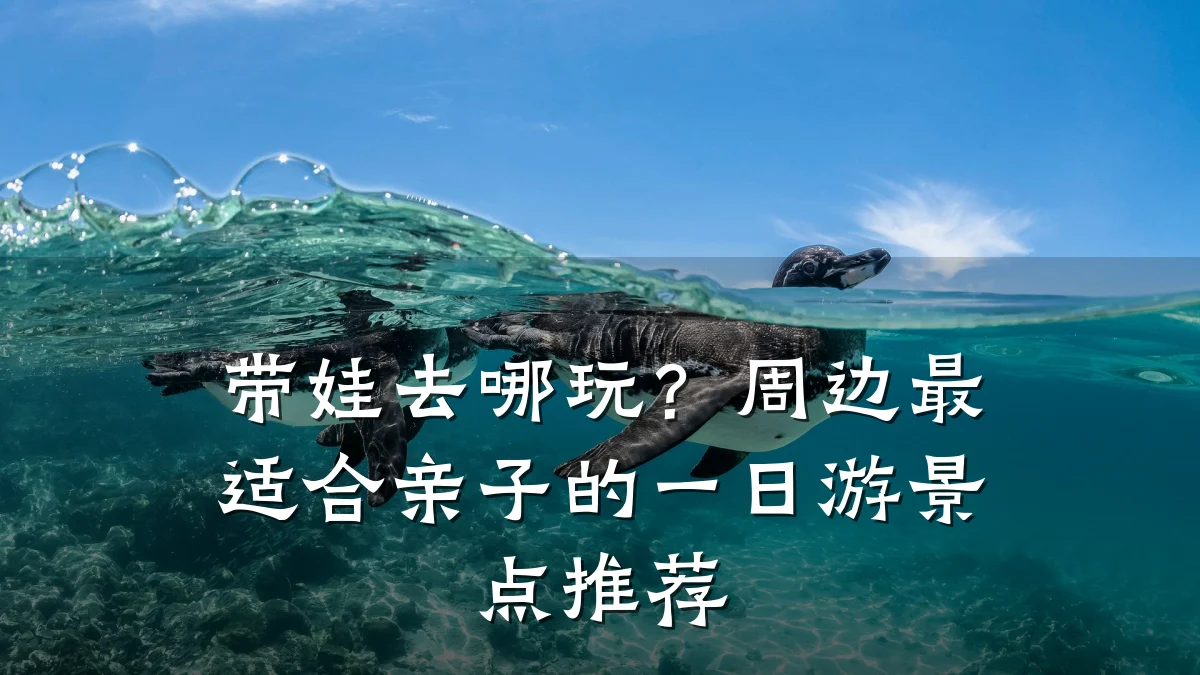 带娃去哪玩?周边最适合亲子的一日游景点推荐