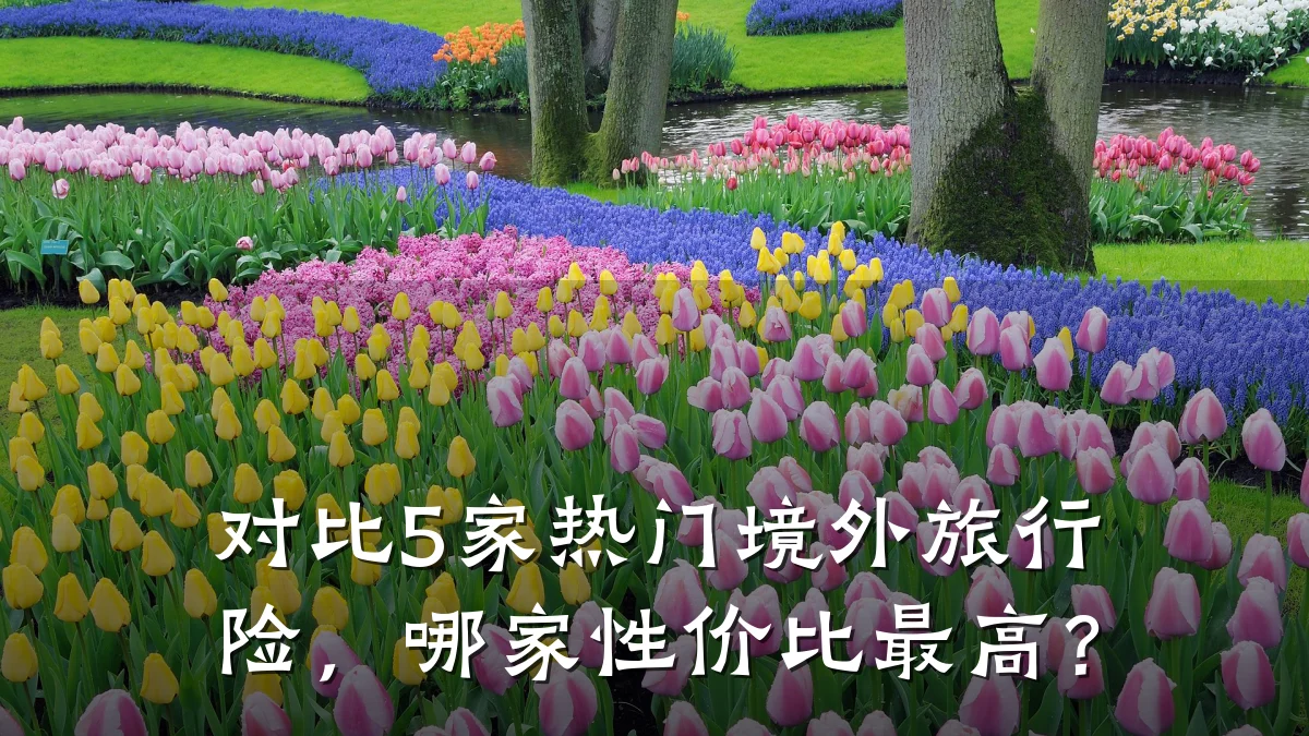 对比5家热门境外旅行险,哪家性价比最高?