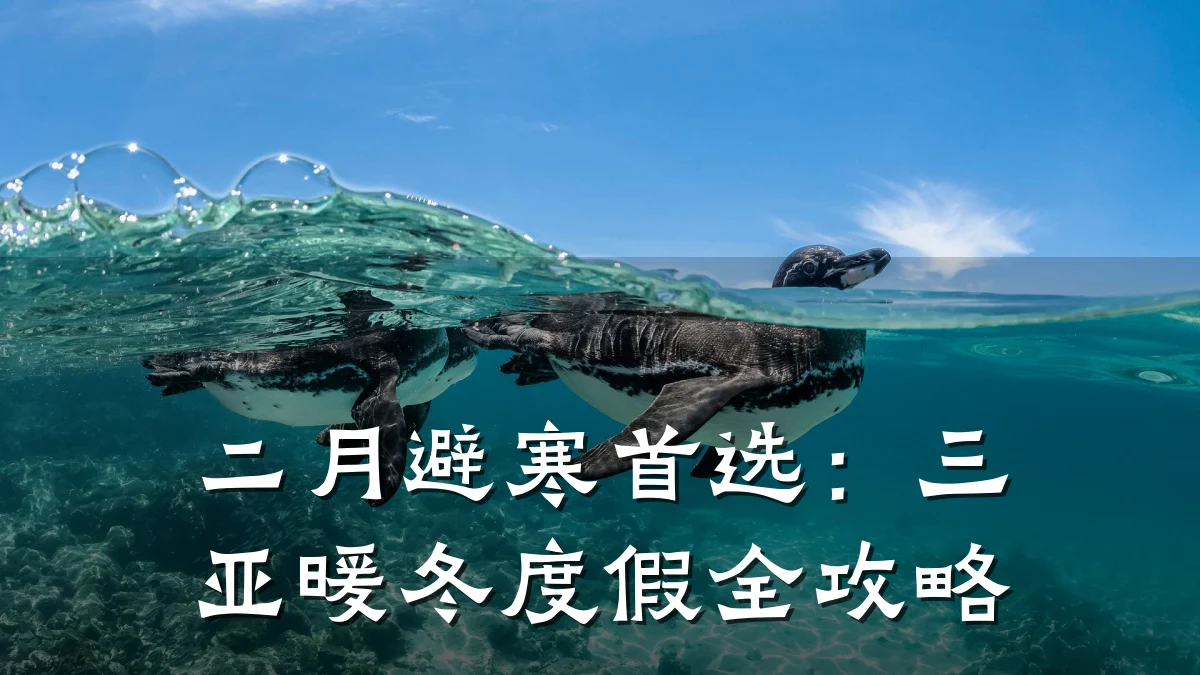 二月避寒首选：三亚暖冬度假全攻略