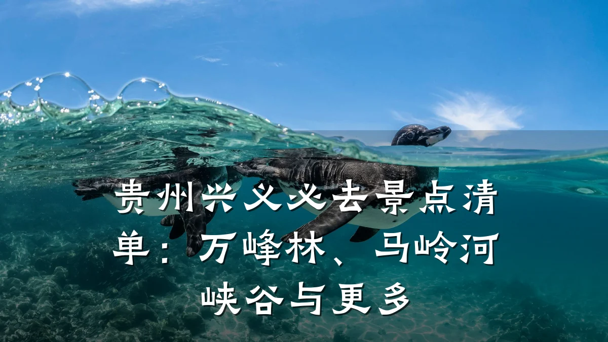 贵州兴义必去景点清单：万峰林、马岭河峡谷与更多