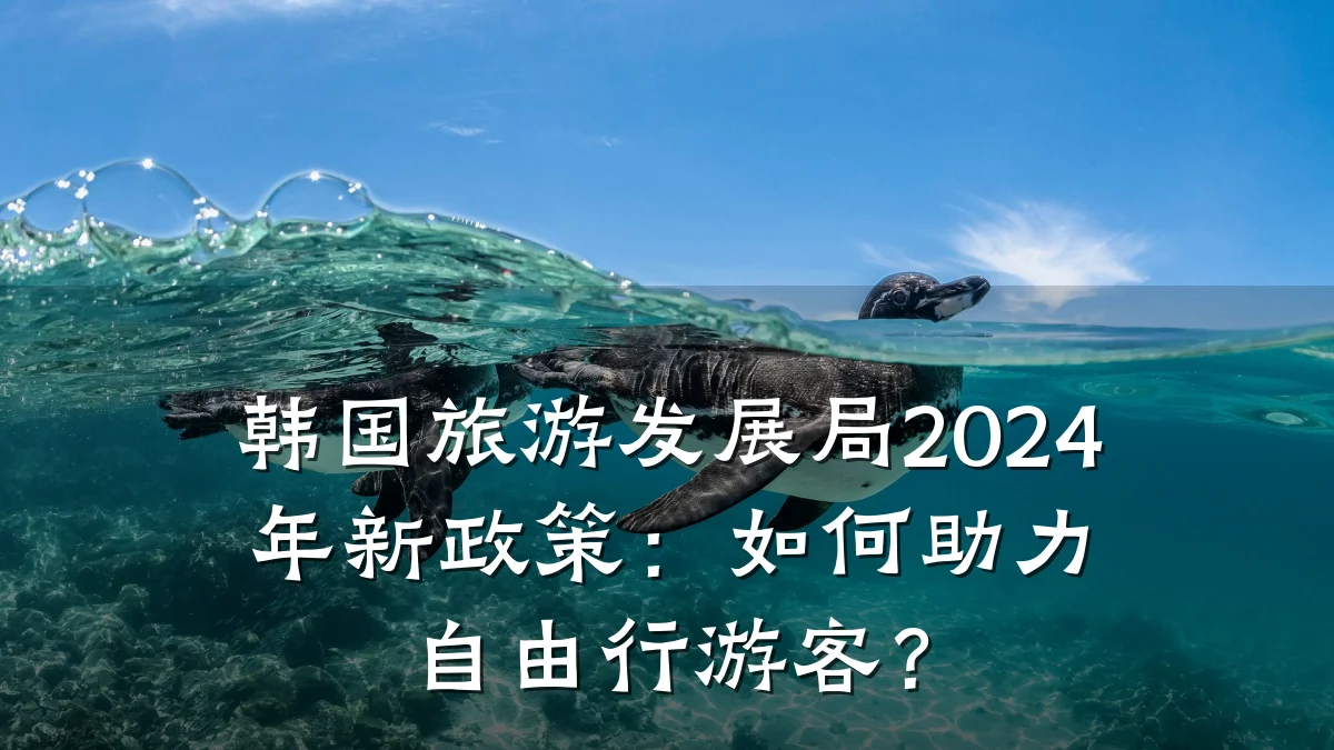 韩国旅游发展局2024年新政策:如何助力自由行游客?