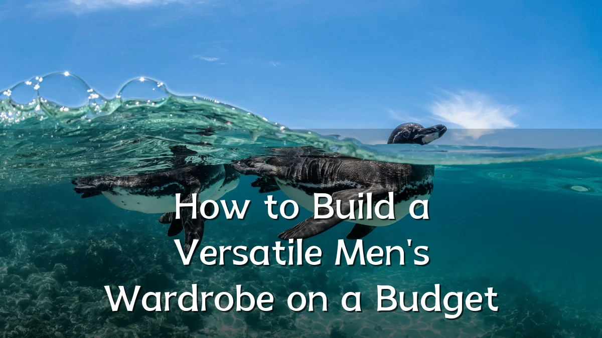 How to Build a Versatile Men's Wardrobe on a Budget