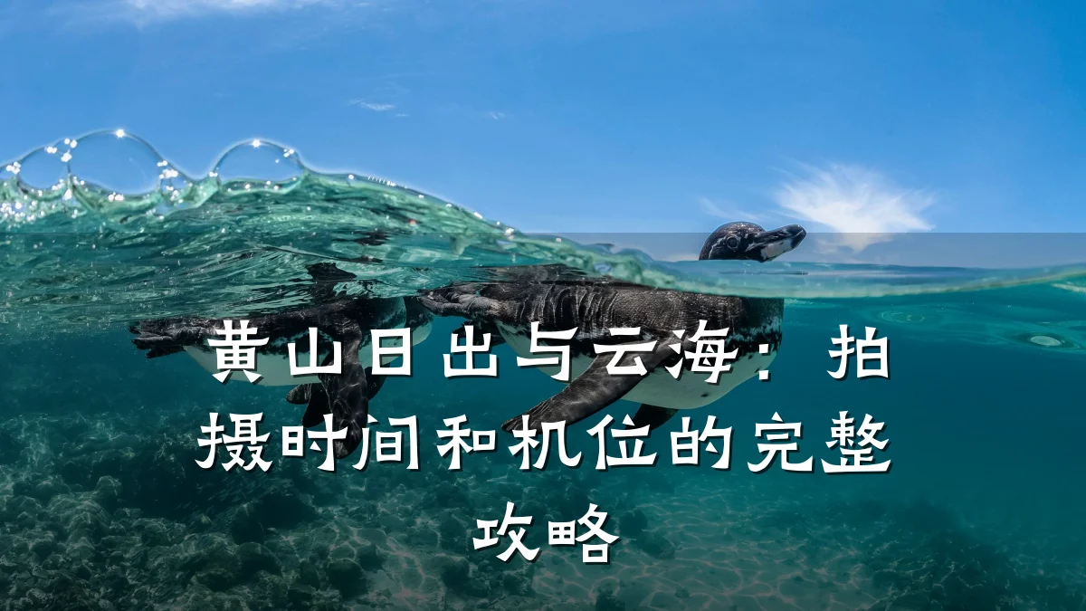 黄山日出与云海:拍摄时间和机位的完整攻略