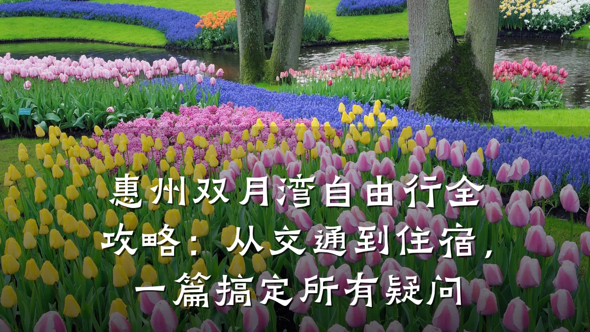 惠州双月湾自由行全攻略:从交通到住宿,一篇搞定所有疑问
