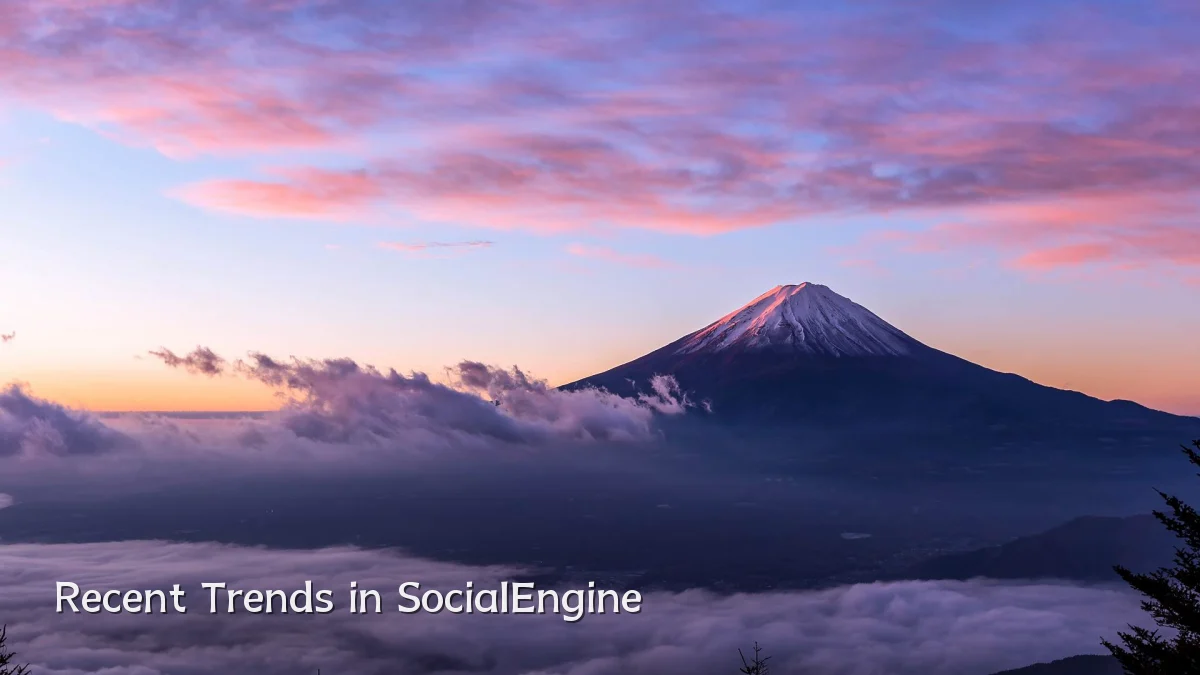 Recent Trends in SocialEngine