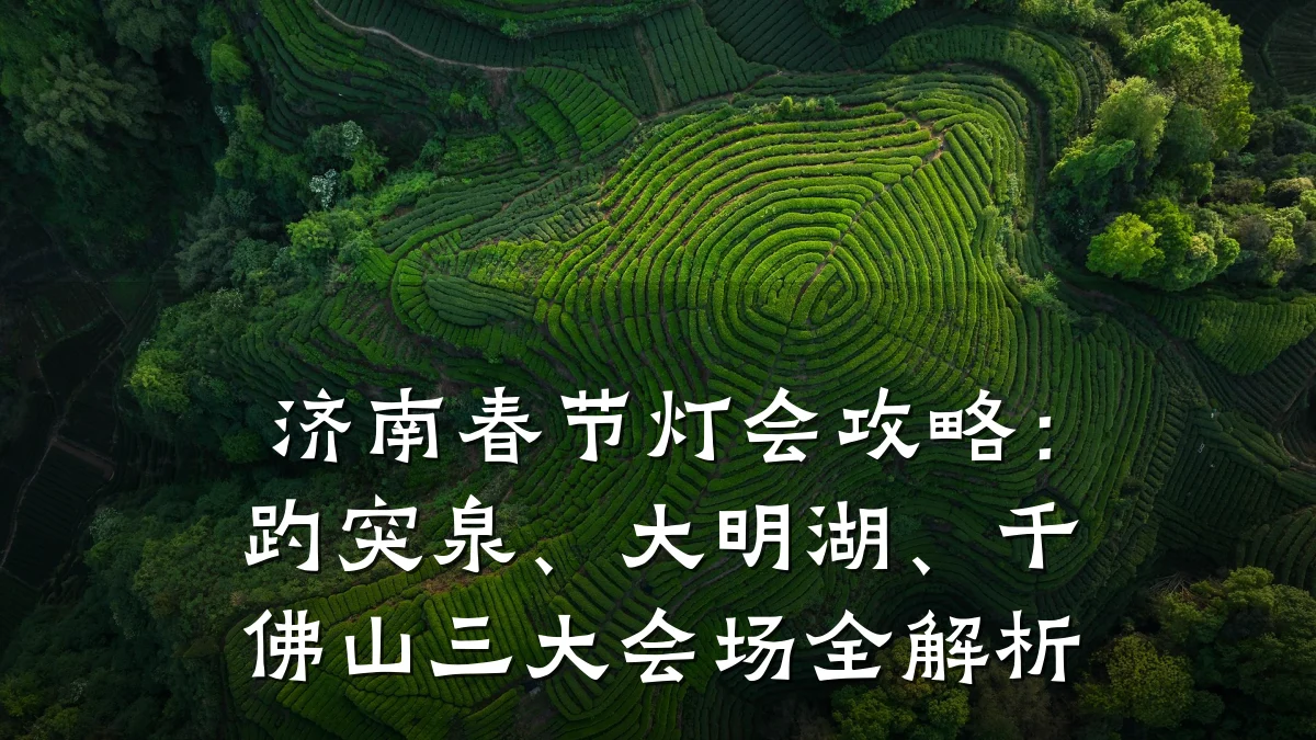 济南春节灯会攻略:趵突泉、大明湖、千佛山三大会场全解析