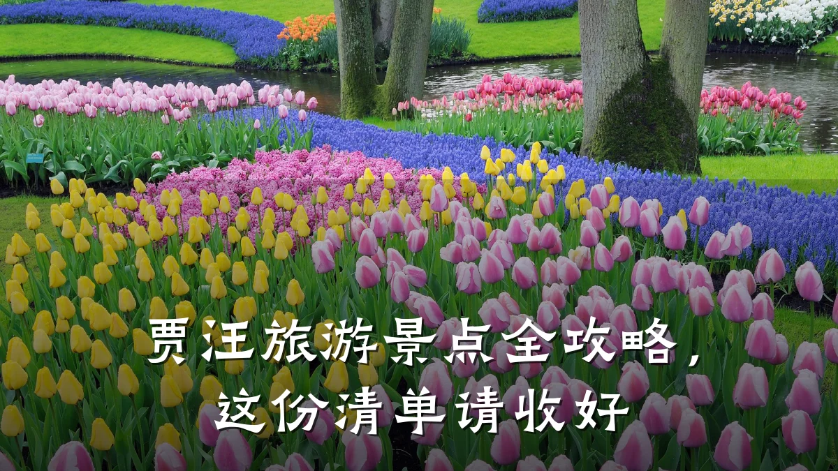 贾汪旅游景点全攻略,这份清单请收好