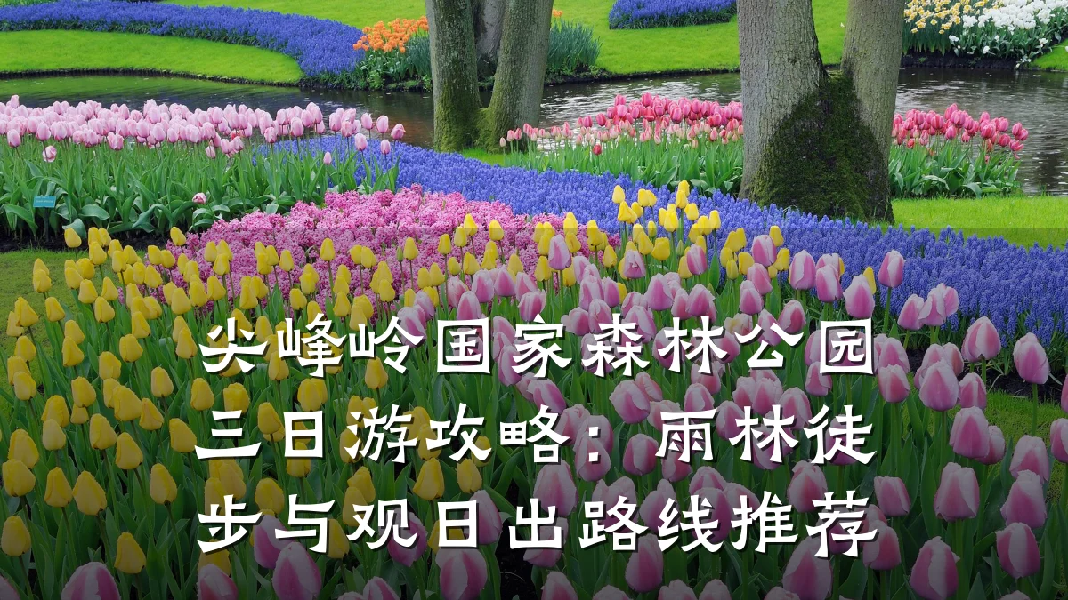 尖峰岭国家森林公园三日游攻略:雨林徒步与观日出路线推荐
