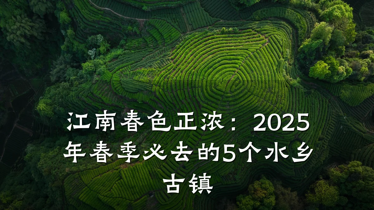 江南春色正浓:2025年春季必去的5个水乡古镇