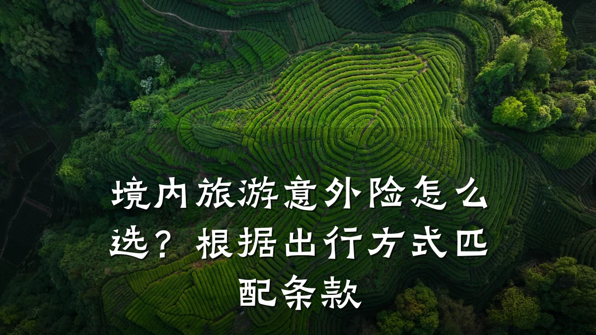 境内旅游意外险怎么选?根据出行方式匹配条款
