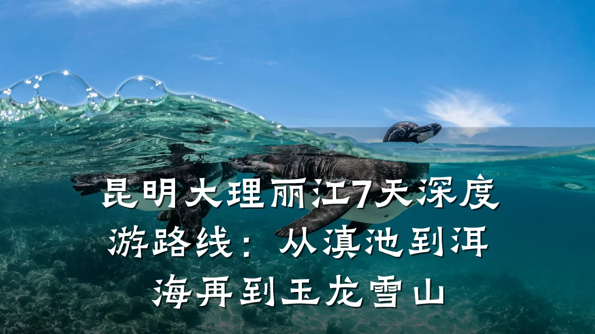 昆明大理丽江7天深度游路线：从滇池到洱海再到玉龙雪山