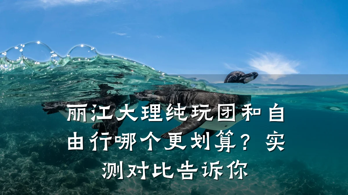 丽江大理纯玩团和自由行哪个更划算?实测对比告诉你