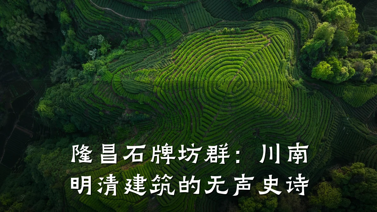 隆昌石牌坊群：川南明清建筑的无声史诗