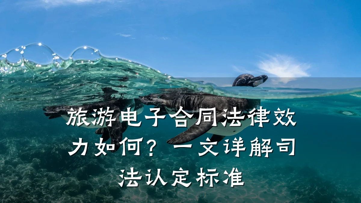 旅游电子合同法律效力如何？一文详解司法认定标准
