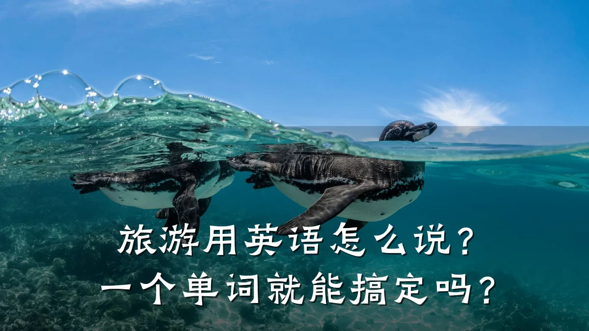 旅游用英语怎么说?一个单词就能搞定吗?
