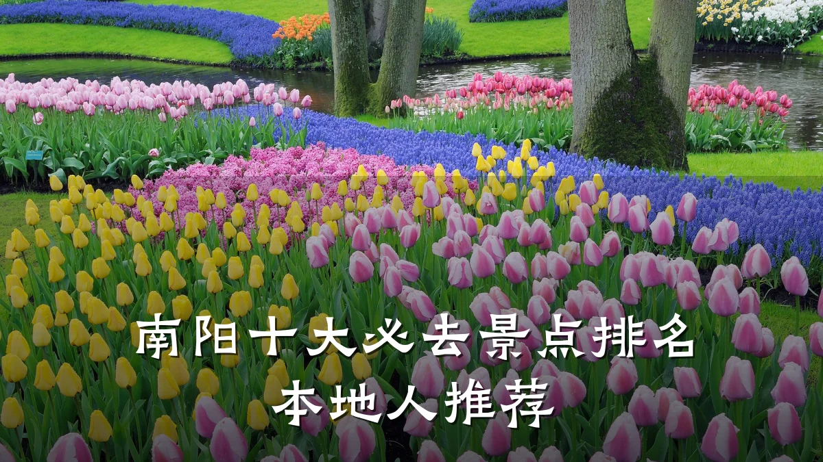 南阳十大必去景点排名 本地人推荐