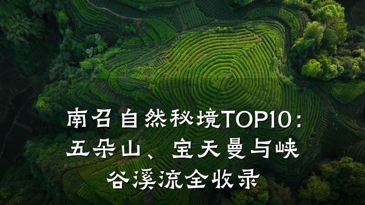 南召自然秘境TOP10:五朵山、宝天曼与峡谷溪流全收录