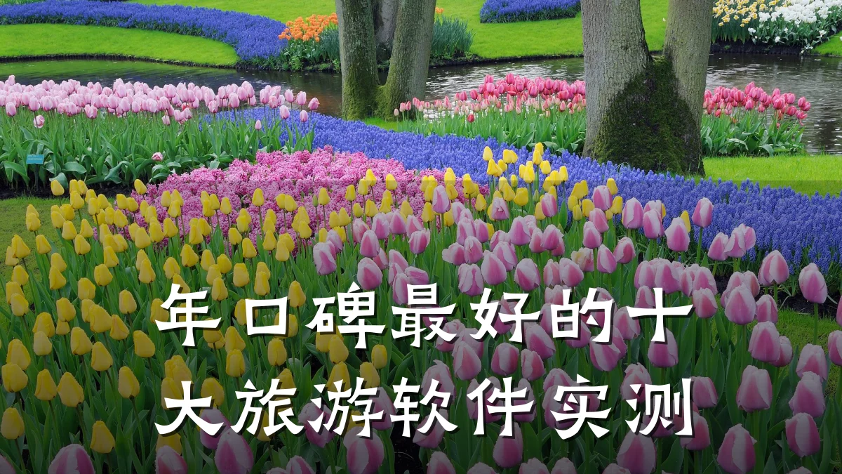 年口碑最好的十大旅游软件实测