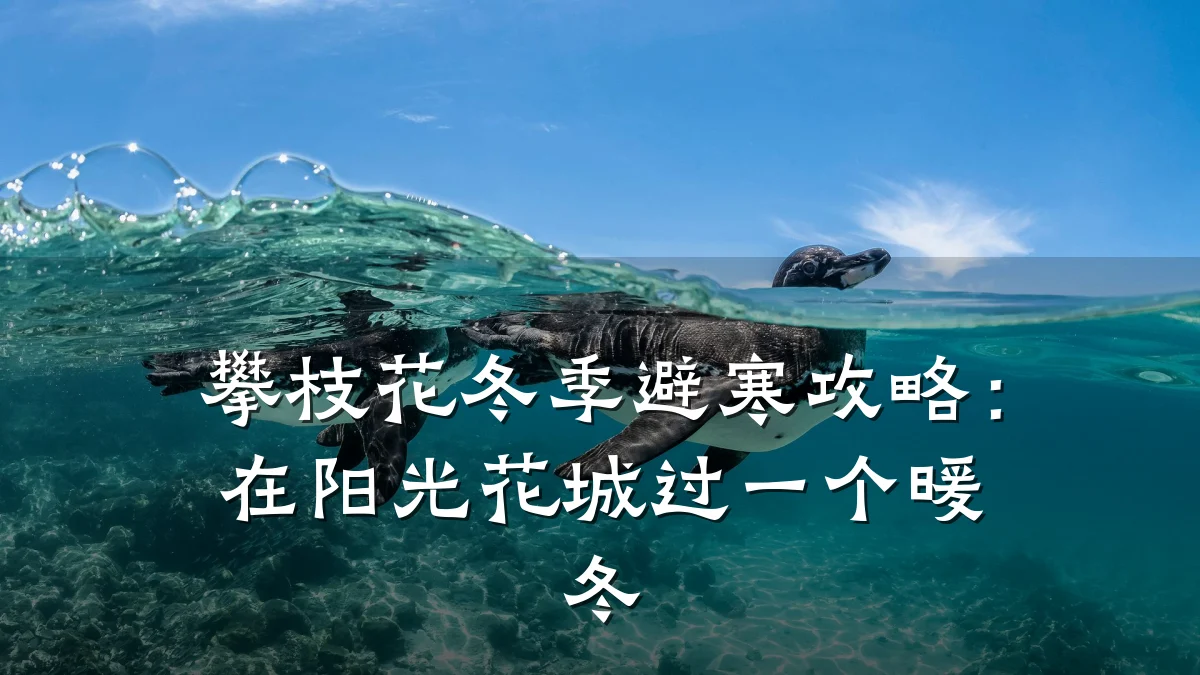 攀枝花冬季避寒攻略:在阳光花城过一个暖冬