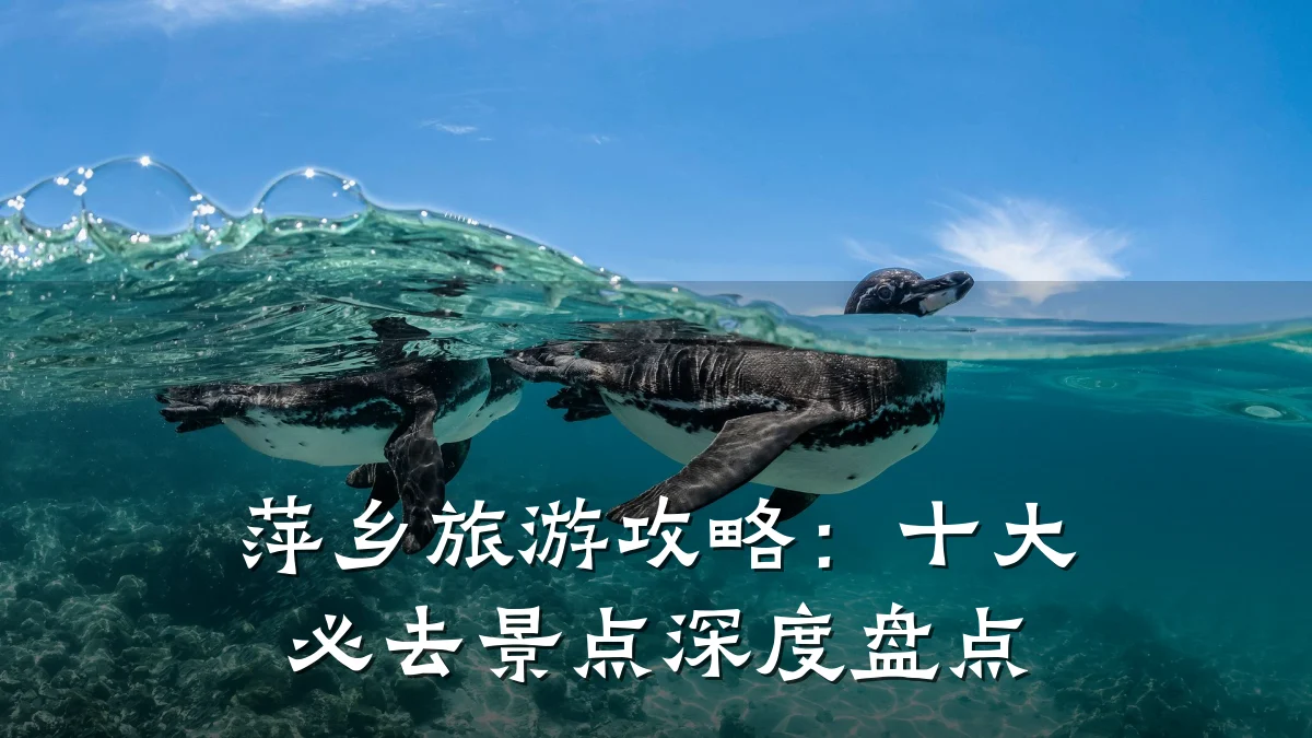 萍乡旅游攻略:十大必去景点深度盘点