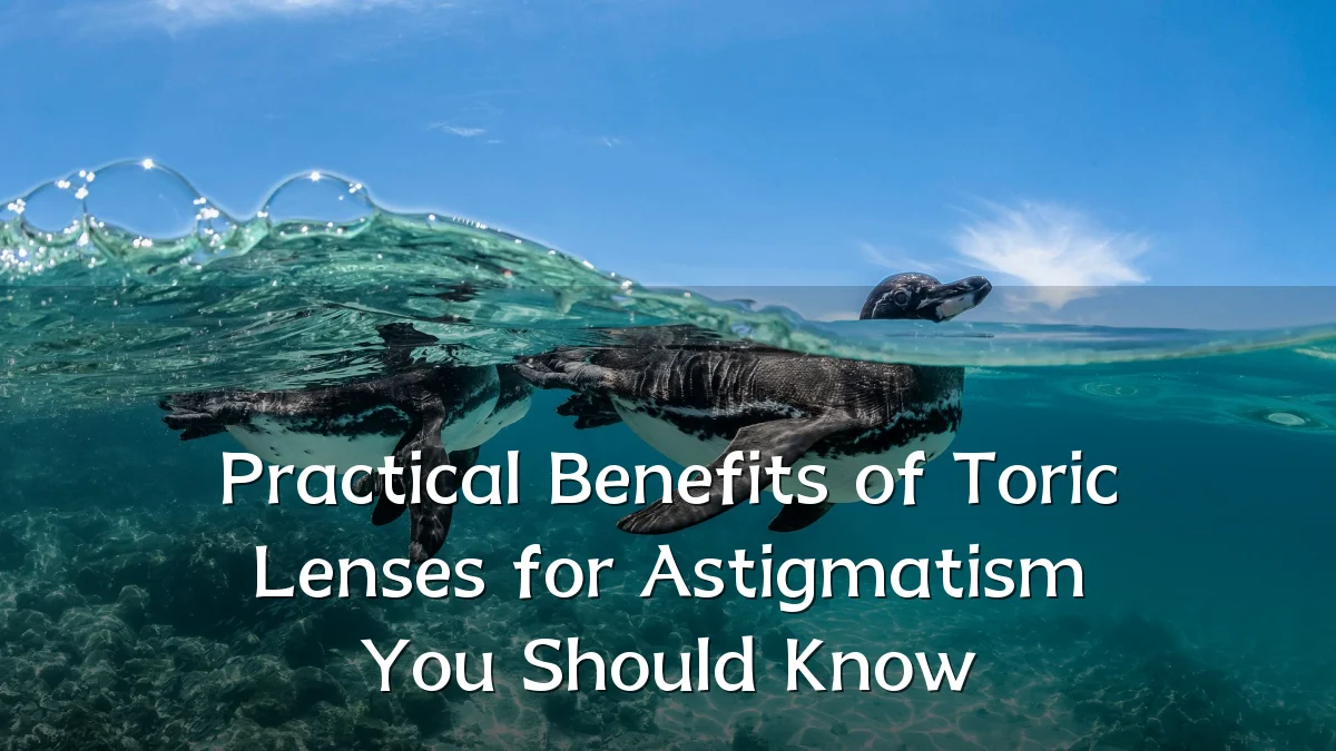 Practical Benefits of Toric Lenses for Astigmatism You Should Know