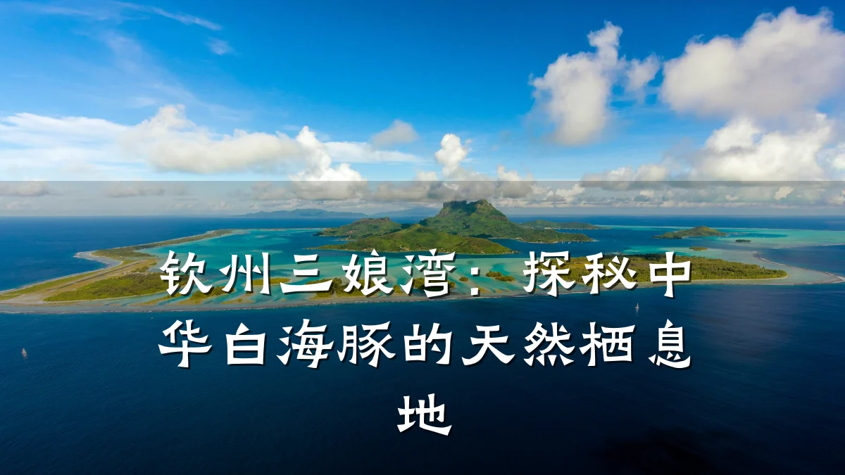 钦州三娘湾:探秘中华白海豚的天然栖息地