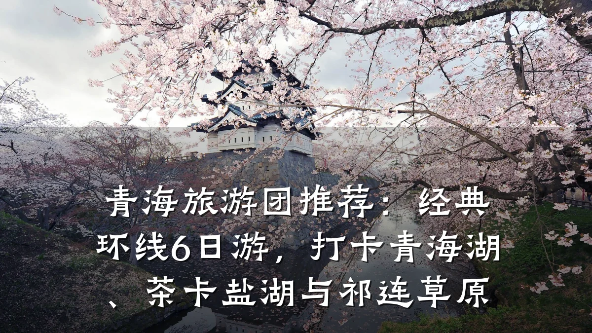 青海旅游团推荐:经典环线6日游,打卡青海湖、茶卡盐湖与祁连草原