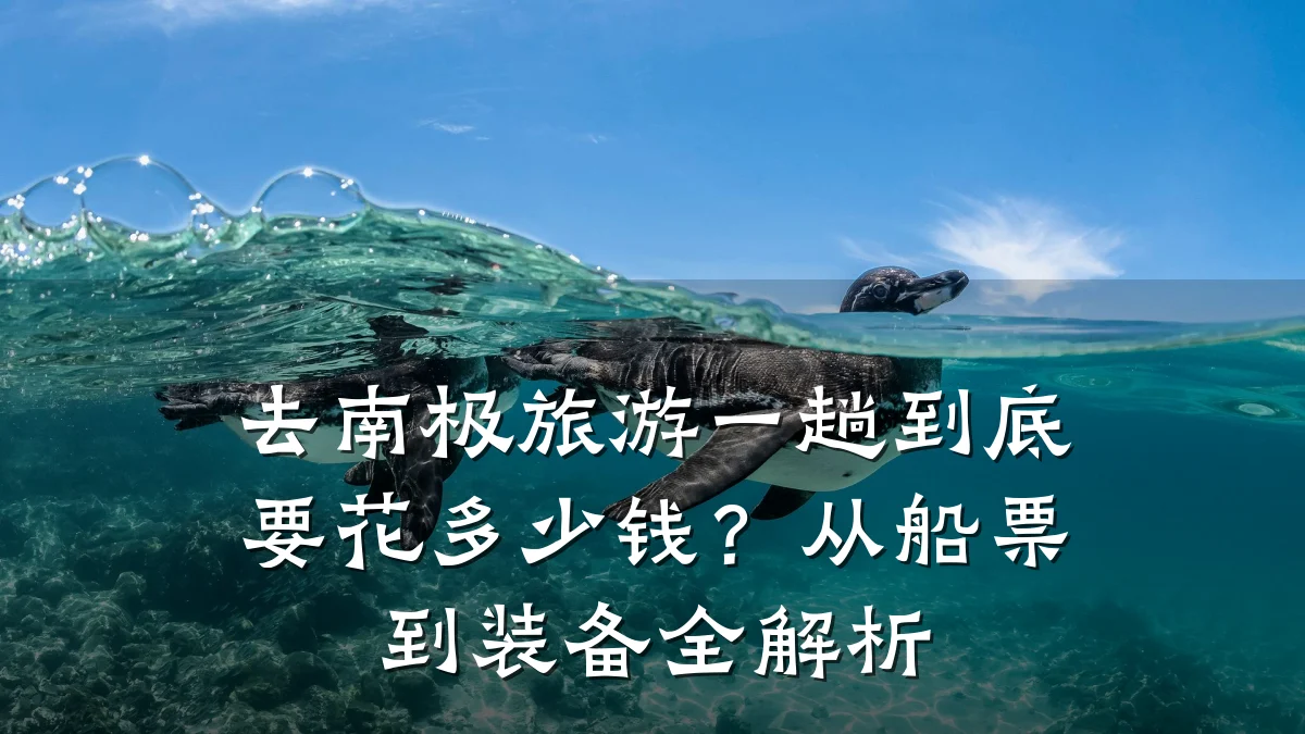 去南极旅游一趟到底要花多少钱？从船票到装备全解析