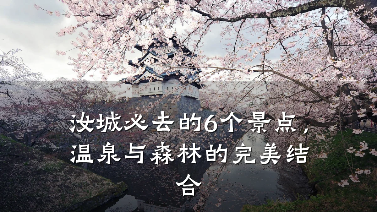 汝城必去的6个景点,温泉与森林的完美结合