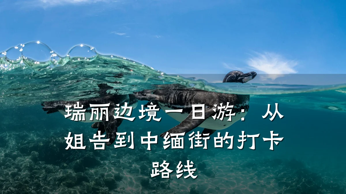 瑞丽边境一日游:从姐告到中缅街的打卡路线