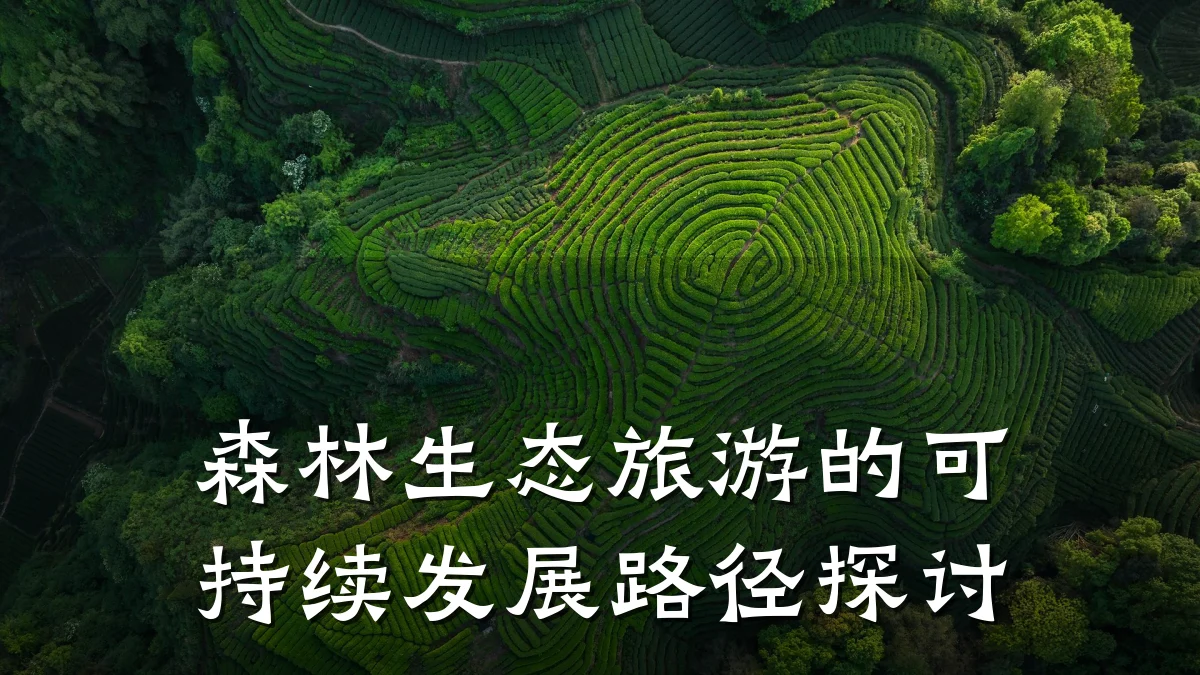 森林生态旅游的可持续发展路径探讨