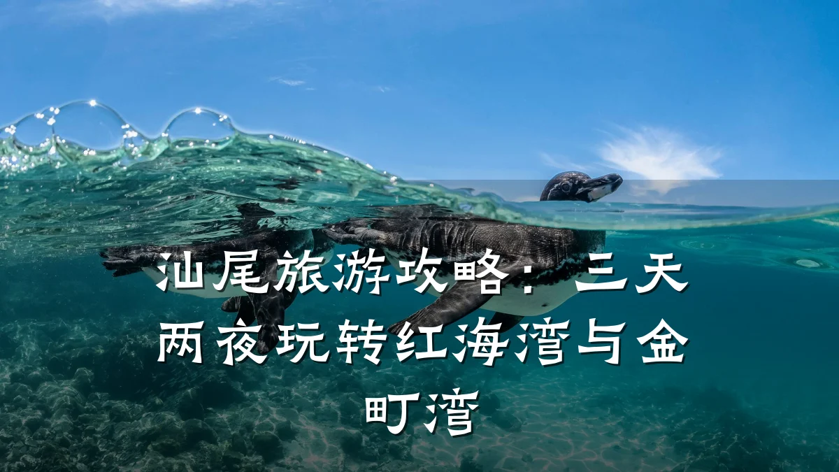 汕尾旅游攻略：三天两夜玩转红海湾与金町湾