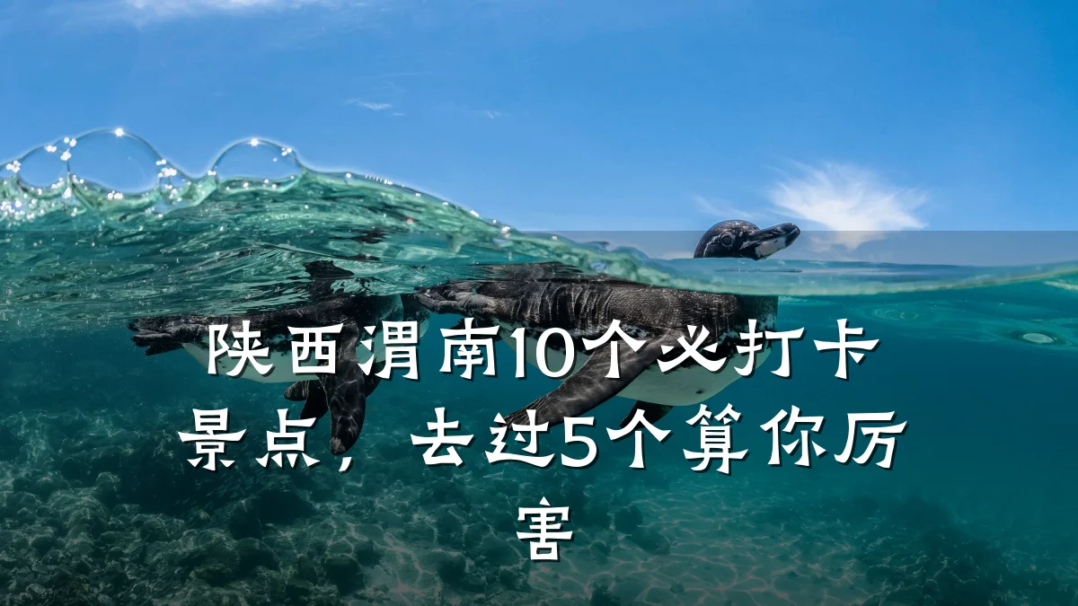 陕西渭南10个必打卡景点，去过5个算你厉害