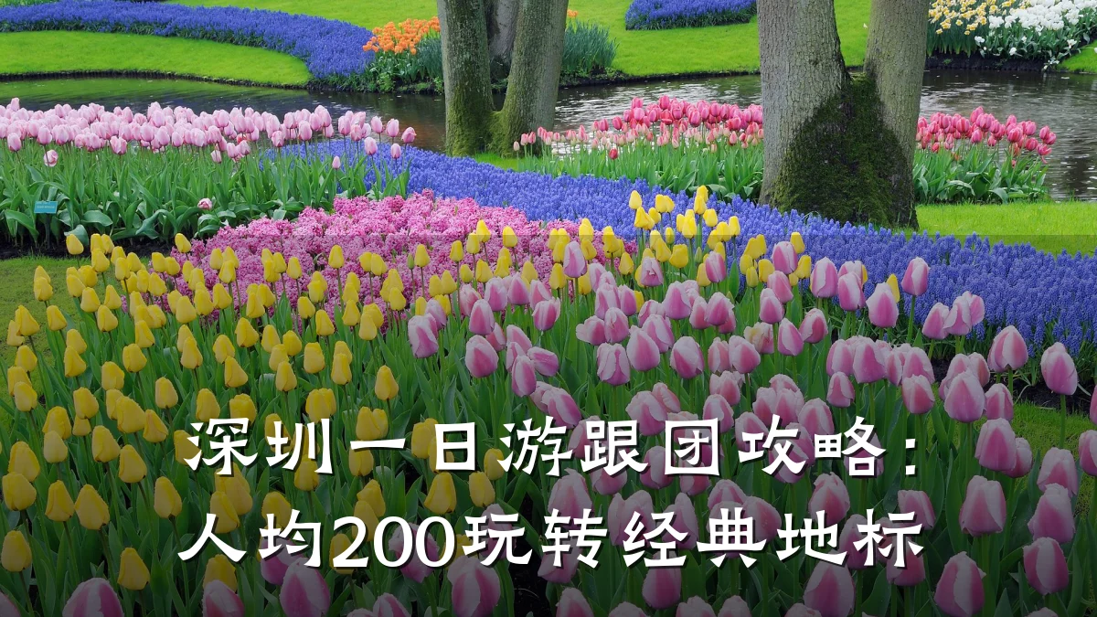深圳一日游跟团攻略:人均200玩转经典地标